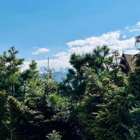Swarny Zakatek Apartment Zakopane Luaran gambar